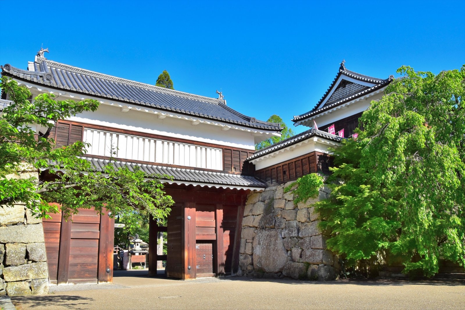 【2026年最新】上田市のパーソナルジムおすすめ5選｜上田駅・三好町・諏訪形で現役トレーナーが徹底比較