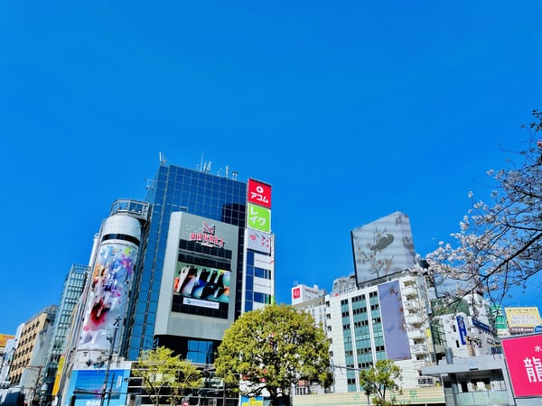 【2026年最新】渋谷のダイエット向けパーソナルジム16選｜全店比較